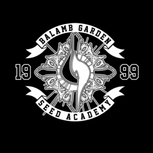 Balamb Garden Seed Academy Shirt