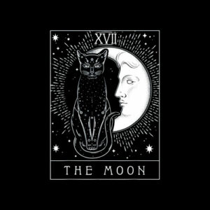 Tarot Card Crescent Moon And Cat Graphic T-Shirt